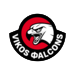 Vikosfalcons